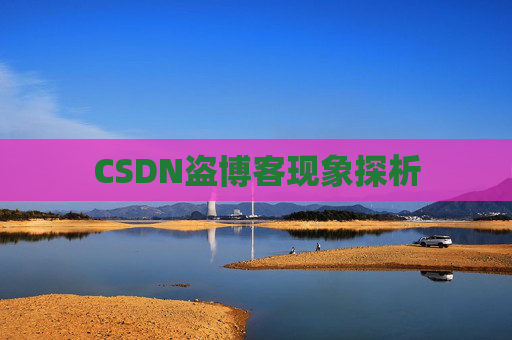 CSDN盗博客现象探析
